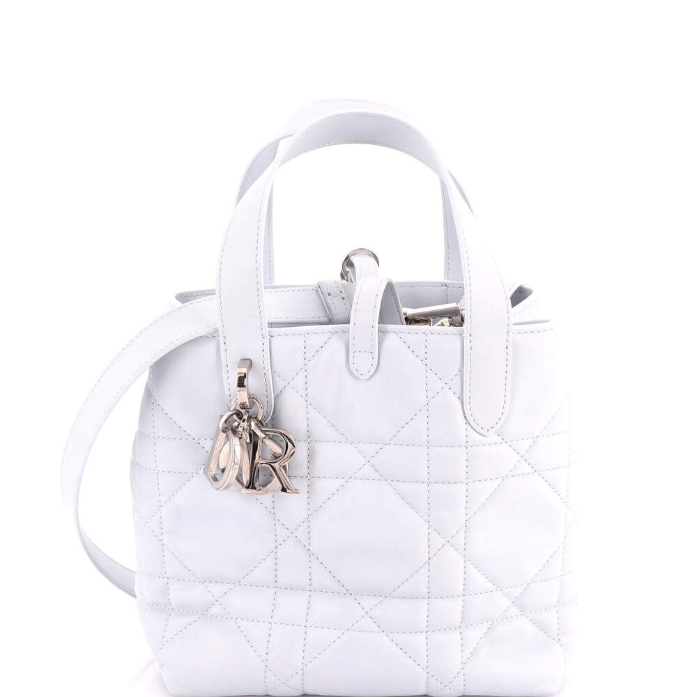 Christian Dior Small Toujours Vertical Tote Bag